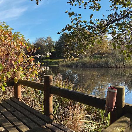 Hazel Oaks, Beautiful Lodge With Hot Tub - Sleeps 6 - Felmoor Park Morpeth Exterior foto